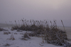 lakeside in winter.