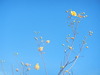 natureza