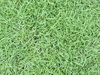 textura natural