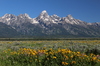 mountain beauty