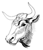 cow head