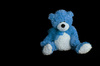 blue teddy bear