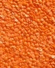 image of red lentils crop