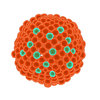covid- 19  bio-hazard