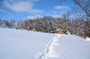 winter path to shed
