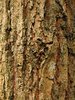 textures