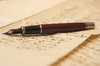 vintage fountain pen  4