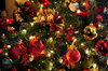 christmas tree  4