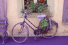 lavender bike