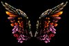angel wings