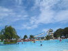 tropical  3