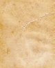old, aged paper / parchment  1