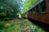 old train