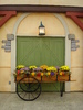 mums, flowers in push cart