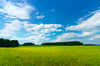 green meadows - blue sky