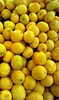 lemons