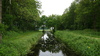 landschap friesland