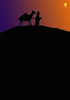 following the star