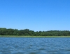 sky, trees, and river