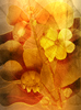 floral background