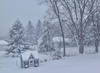 winter wonderland