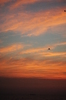 sunrise & sunset  5
