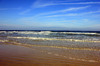 daytona beach under clear sky