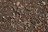 stone