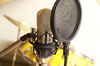 large diaphragm microphone
