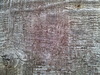 old wood