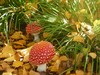 mushroom