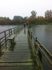 crossing wooden bridge in rain